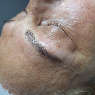 Técnica pelo a pelo, cejas, ojos y labios!