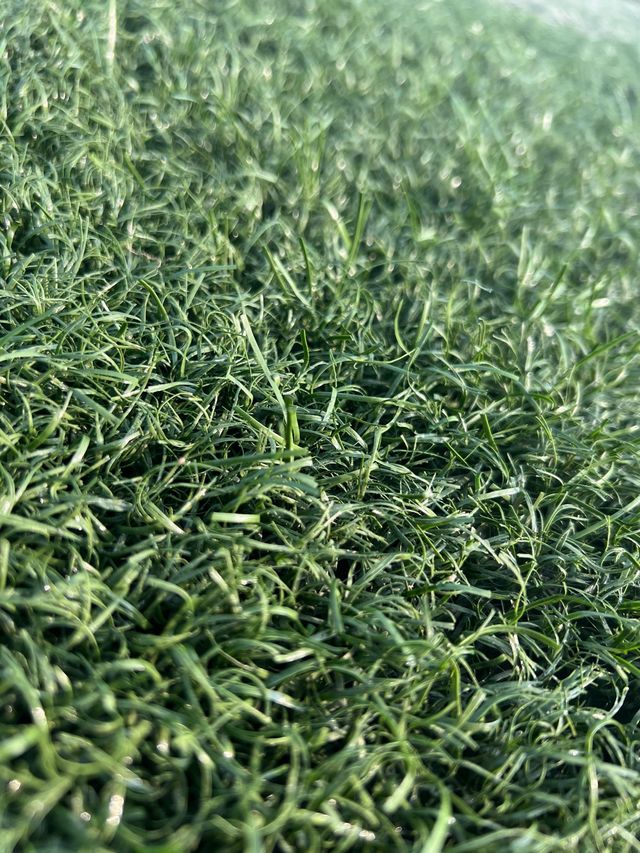 Césped artificial reciclado