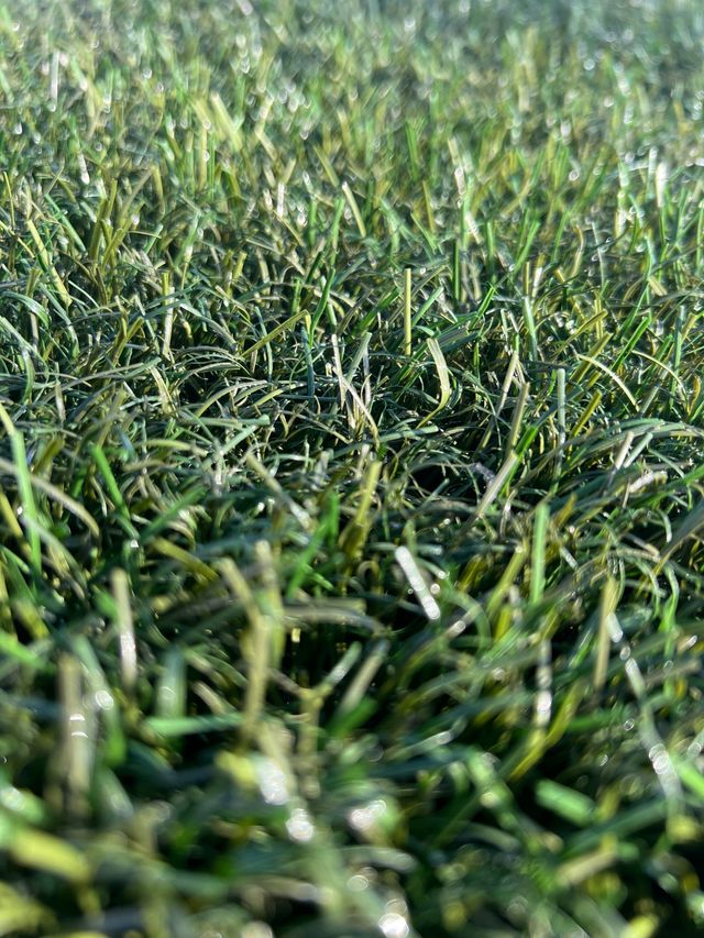 Césped artificial reciclado