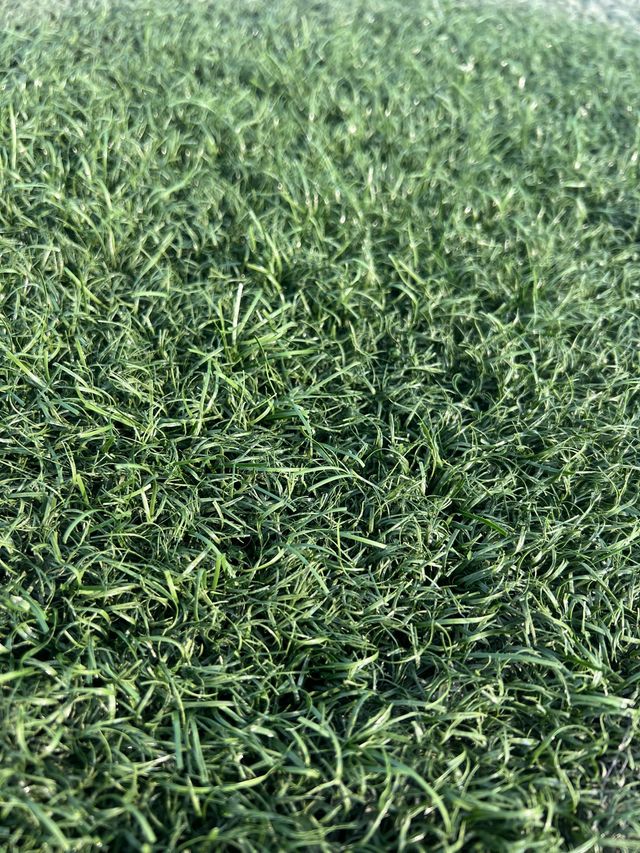 Césped artificial reciclado