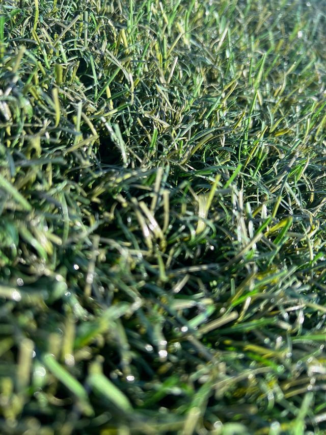 Césped artificial reciclado