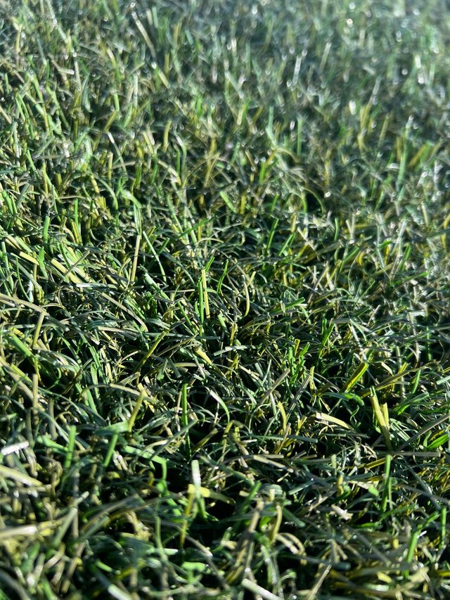 Césped artificial reciclado