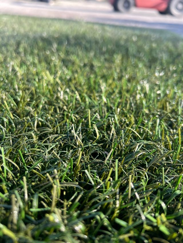 Césped artificial reciclado