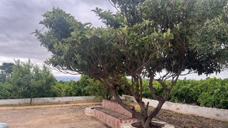 Casa de Campo en alquiler vacacional.