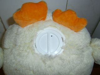HUCHA GRANDE DE PELUCHE