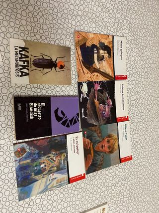 Libros de lectura 5 euros cada uno