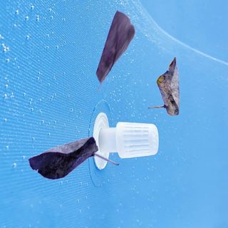 Piscina desmontable redonda con filtro