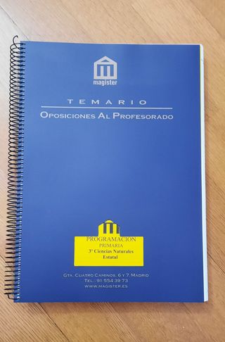 Teoría de la programación Primaria Magister