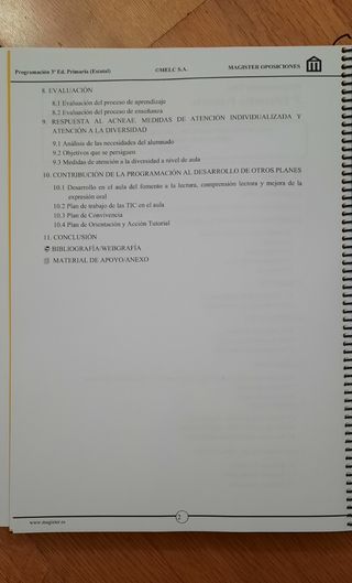 Teoría de la programación Primaria Magister