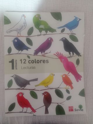 LIBRO 12 COLORES, PRIMERO PRIMARIA