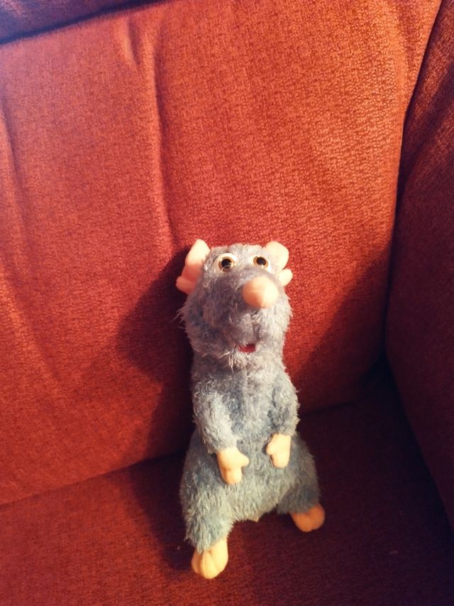 Remi Ratatouille