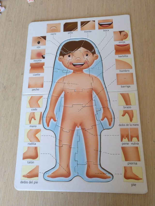 Puzzle cuerpo humano 