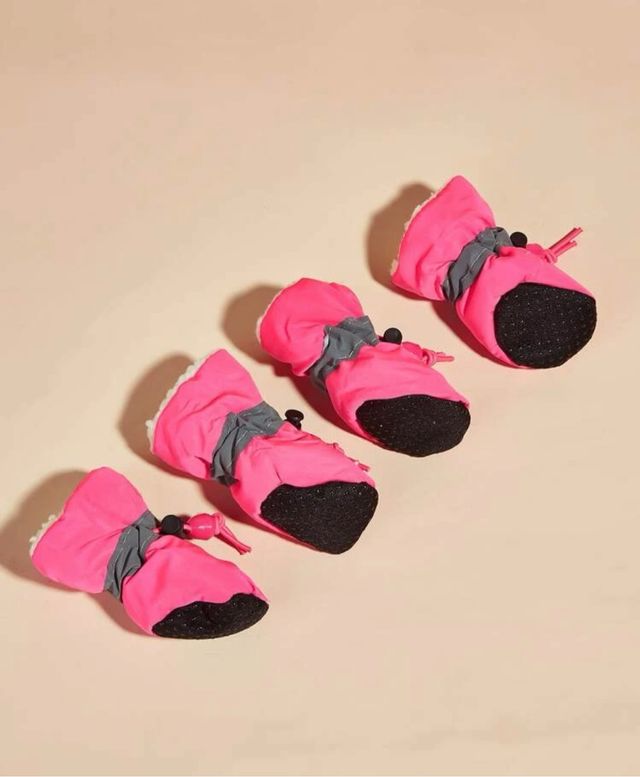 Zapatos para perro