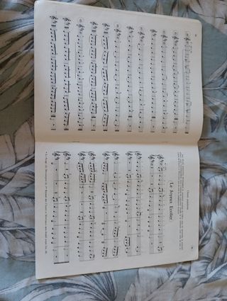 Mathieu Crickboom  (Le violon I)