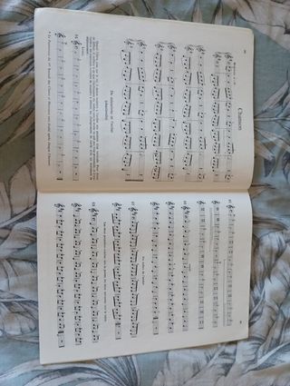 Mathieu Crickboom  (Le violon I)