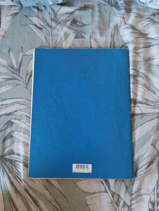 Mathieu Crickboom  (Le violon I)