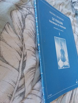 Mathieu Crickboom  (Le violon I)