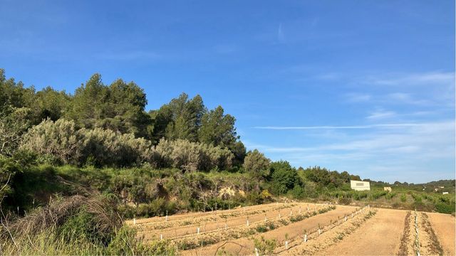 Venta parcelas agrícolas