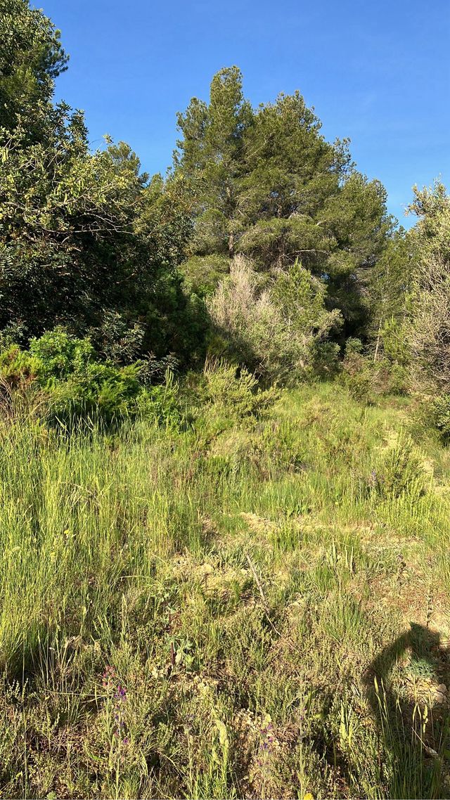 Venta parcelas agrícolas