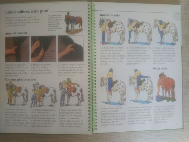 Manual de equitacion