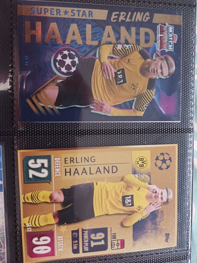 LOTE ERLING HAALAND