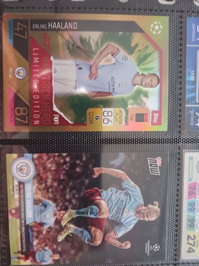 LOTE ERLING HAALAND