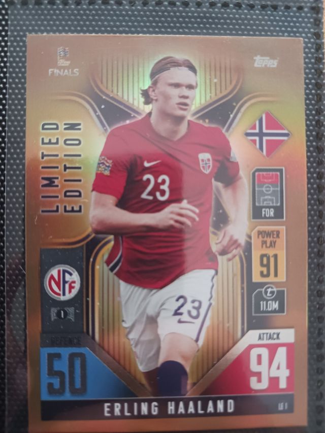 LOTE ERLING HAALAND
