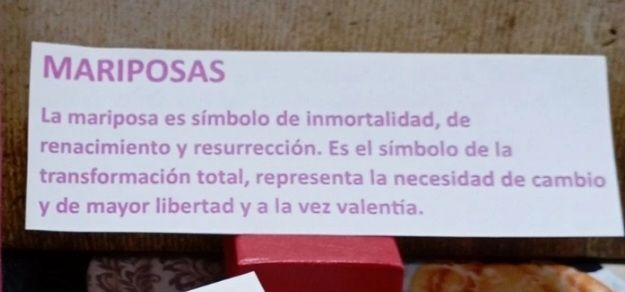 Pendientes mariposas multicolor niña acero