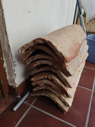 Tejas grandes(tejones)