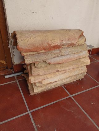 Tejas grandes(tejones)