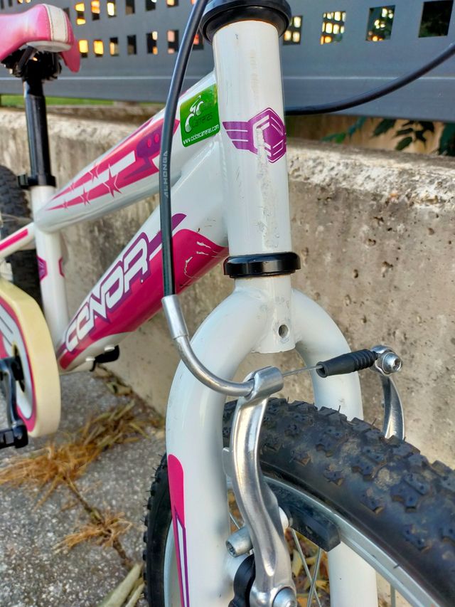 Bici niña 18 pulgadas para 6 años