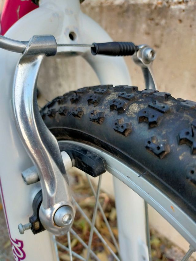 Bici niña 18 pulgadas para 6 años