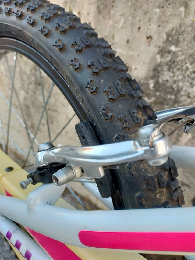 Bici niña 18 pulgadas para 6 años