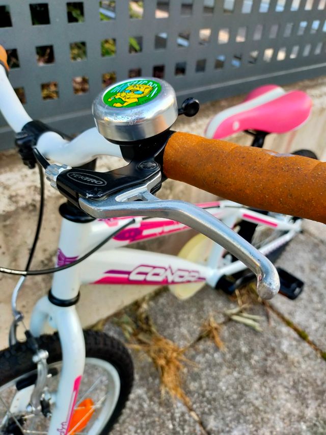 Bici niña 18 pulgadas para 6 años