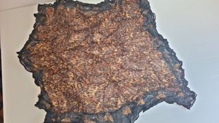 Pañuelo de estampado cheetah leopardo