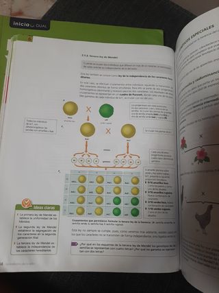 biología y geología  4eso