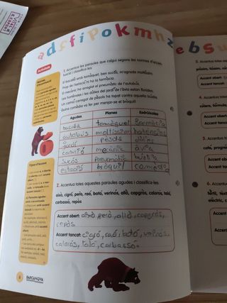 Món ortogràfic 6 primaria