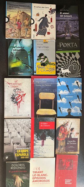 Libros de lectura Primaria / Secundaria