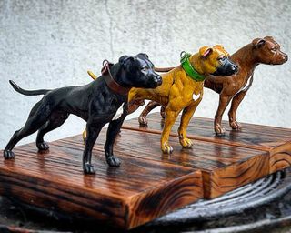 Figura de American Pit Bull Terrier