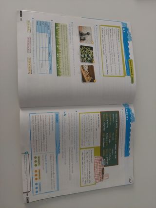 Libro texto Lengua  Anaya 6° Primaria