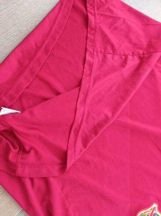 Camiseta de la Selección talla L.