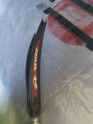 horquilla de carbono Zeus