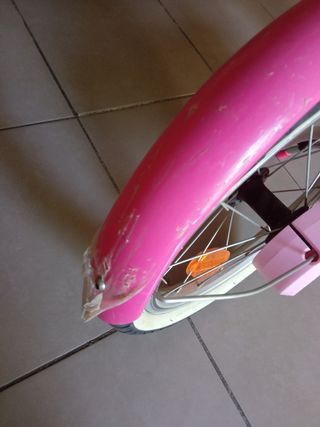 Bici niña aprendizaje