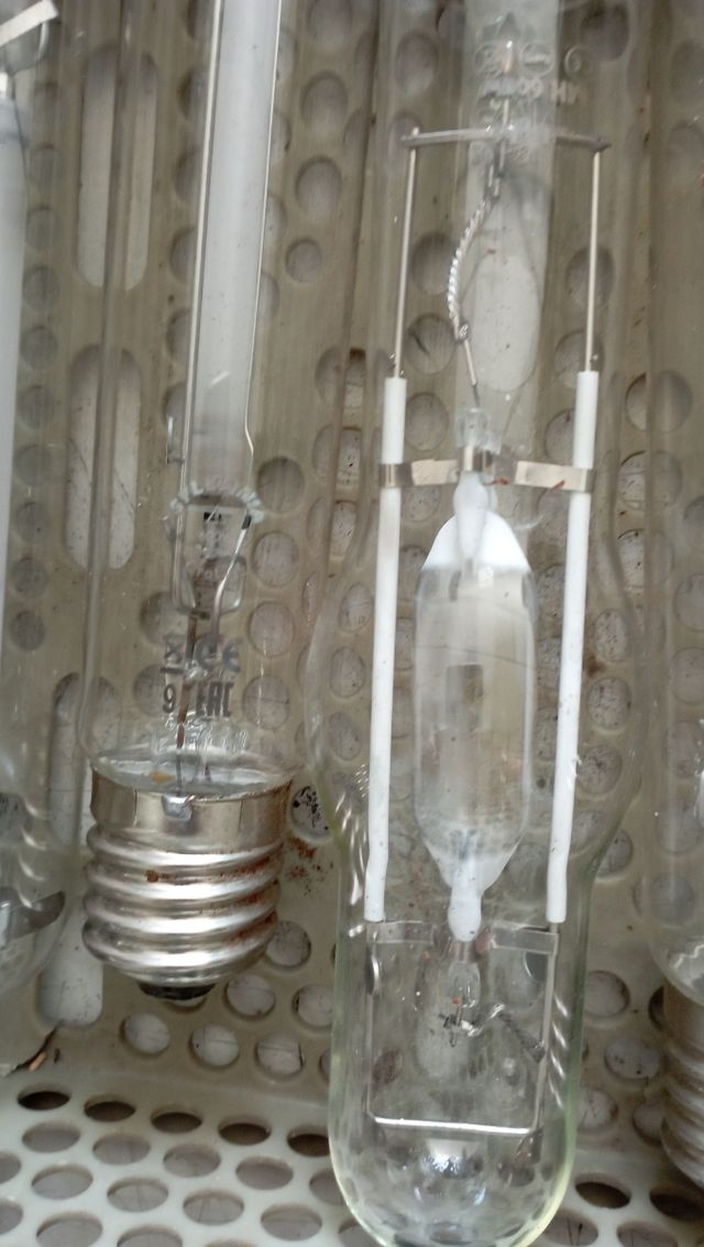 Bombillas gran intensidad