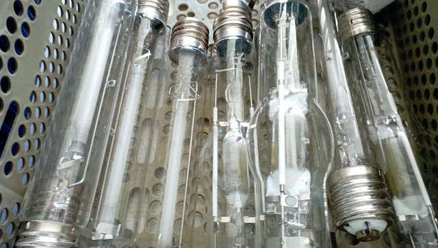 Bombillas gran intensidad