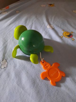 Tortuga bañera