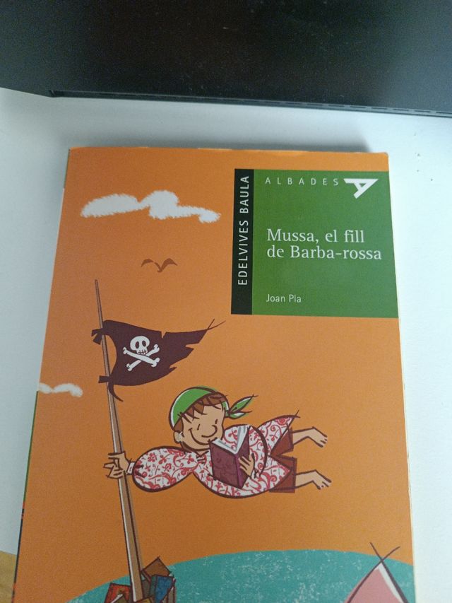 Mussa, el fill de Barba-rossa