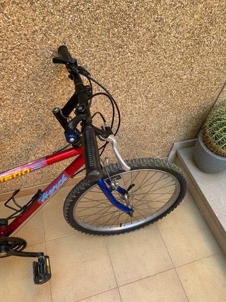 BICICLETA DE MONTAÑA DE 24