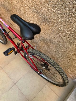 BICICLETA DE MONTAÑA DE 24