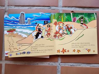 Libro En Busca del tesoro del pirata